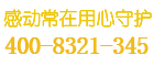 洋森保险柜